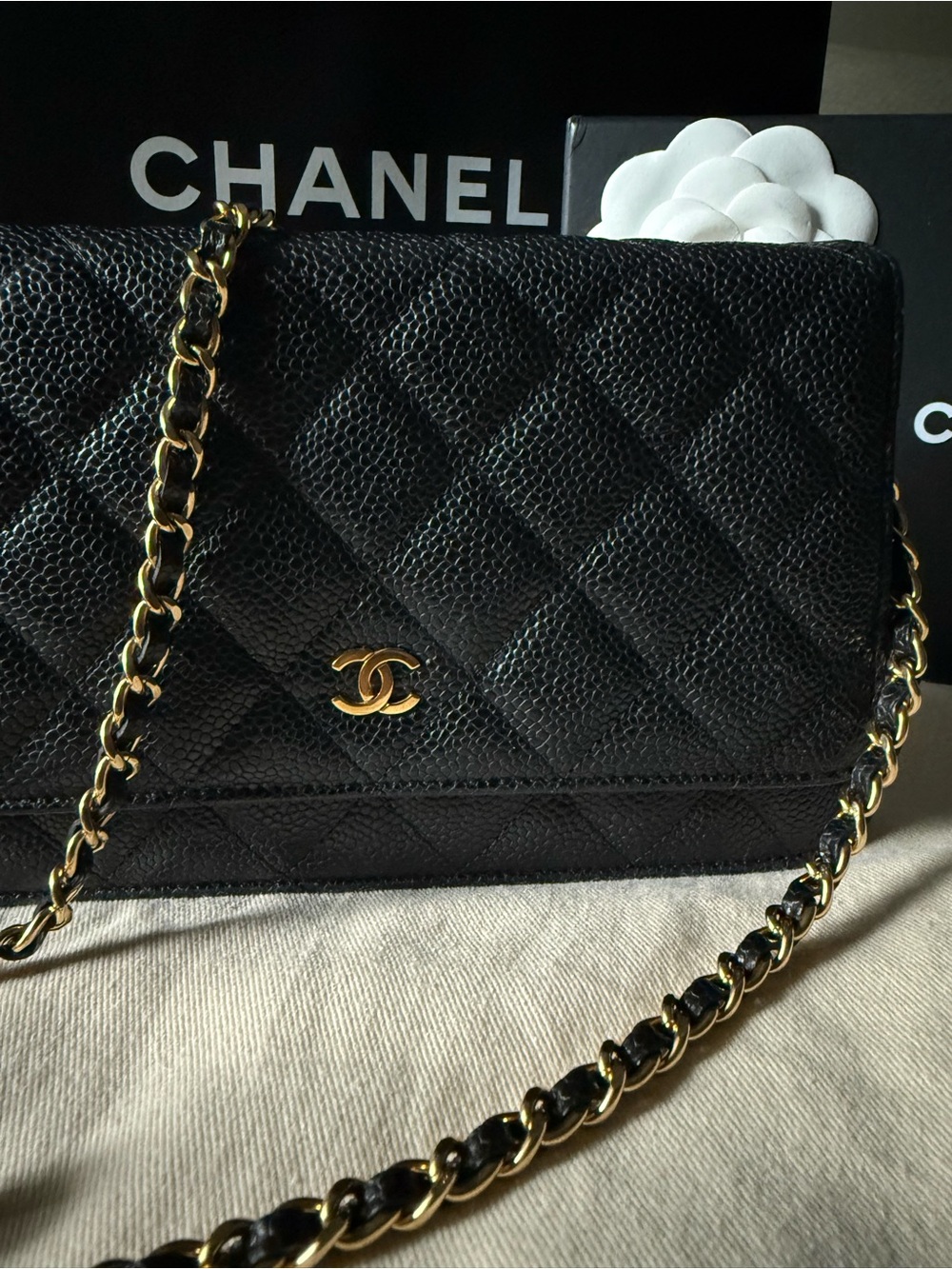 CHANEL Black Quilted Caviar Leather with Gold Hardware - Picture 11 of 13